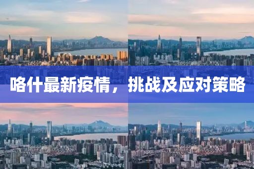 咯什最新疫情，挑戰(zhàn)及應(yīng)對(duì)策略