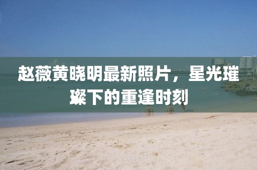 趙薇黃曉明最新照片，星光璀璨下的重逢時刻