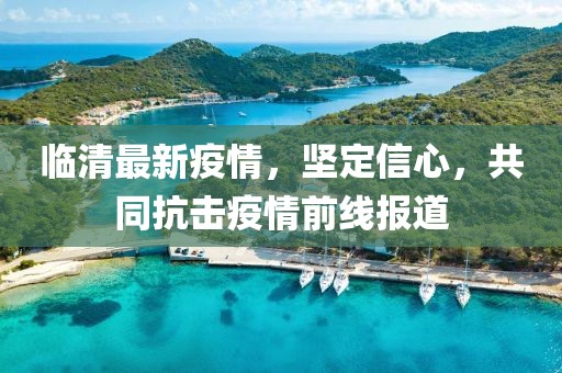 臨清最新疫情,堅(jiān)定信心,共同抗擊疫情前線報道