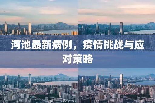 河池最新病例,疫情挑戰(zhàn)與應(yīng)對(duì)策略