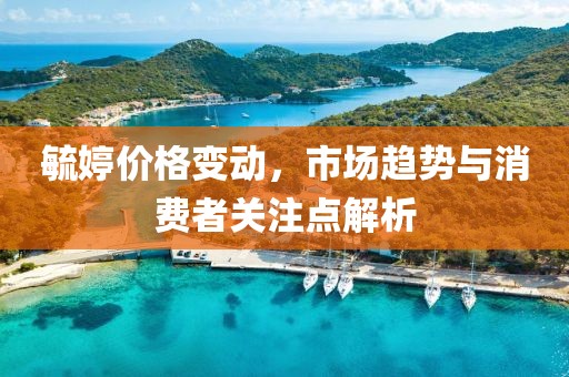 毓婷價格變動，市場趨勢與消費者關注點解析
