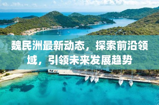 魏民洲最新動態，探索前沿領域，引領未來發展趨勢