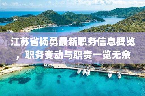 江蘇省楊勇最新職務信息概覽，職務變動與職責一覽無余