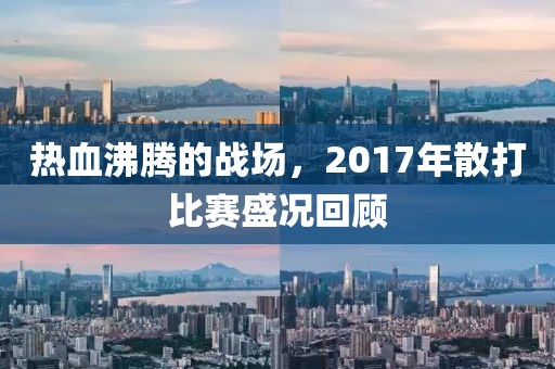 熱血沸騰的戰場,2017年散打比賽盛況回顧