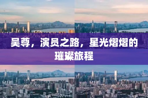 吳尊，演員之路，星光熠熠的璀璨旅程