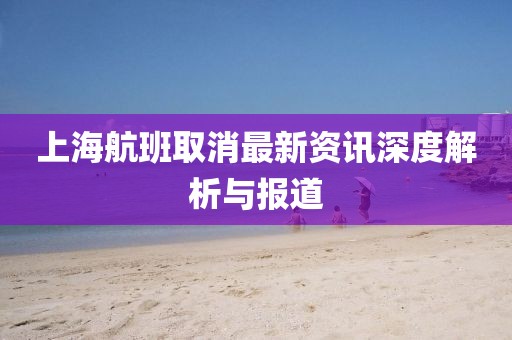 上海航班取消最新資訊深度解析與報道