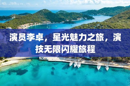 演員李卓，星光魅力之旅，演技無限閃耀旅程