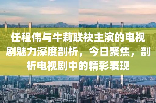 任程偉與牛莉聯(lián)袂主演的電視劇魅力深度剖析,今日聚焦,剖析電視劇中的精彩表現(xiàn)