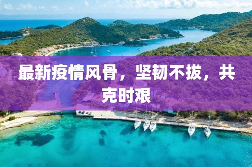 最新疫情風骨,堅韌不拔,共克時艱