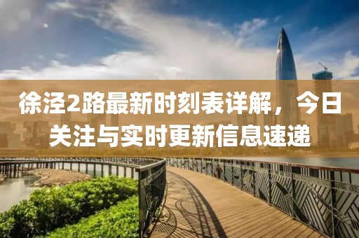 徐涇2路最新時刻表詳解,今日關注與實時更新信息速遞