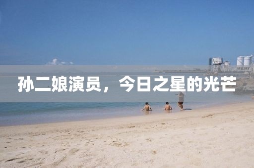 孫二娘演員,今日之星的光芒