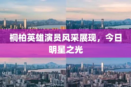 桐柏英雄演員風(fēng)采展現(xiàn),今日明星之光