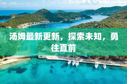 湯姆最新更新,探索未知,勇往直前