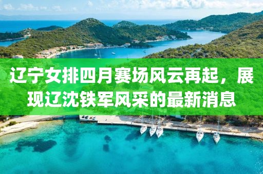 遼寧女排四月賽場風云再起，展現遼沈鐵軍風采的最新消息