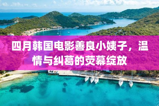 四月韓國電影善良小姨子,溫情與糾葛的熒幕綻放