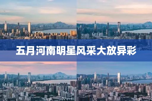 五月河南明星風采大放異彩