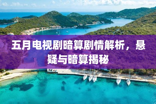 五月電視劇暗算劇情解析,懸疑與暗算揭秘