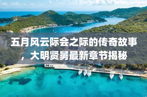 五月風云際會之際的傳奇故事,大明賢舅最新章節揭秘