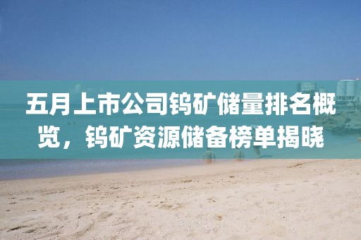 五月上市公司鎢礦儲量排名概覽,鎢礦資源儲備榜單揭曉