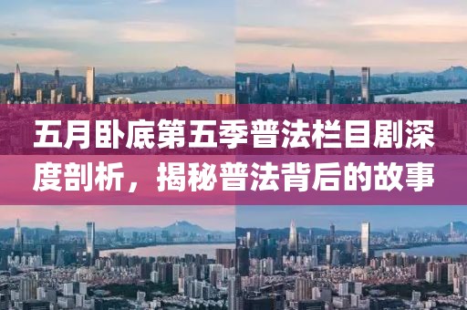 五月臥底第五季普法欄目劇深度剖析,揭秘普法背后的故事