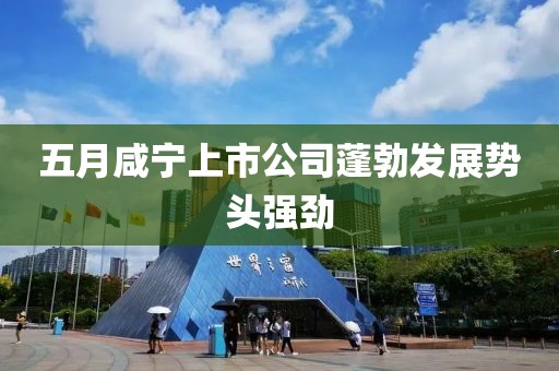 五月咸寧上市公司蓬勃發展勢頭強勁