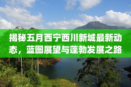 揭秘五月西寧西川新城最新動態,藍圖展望與蓬勃發展之路