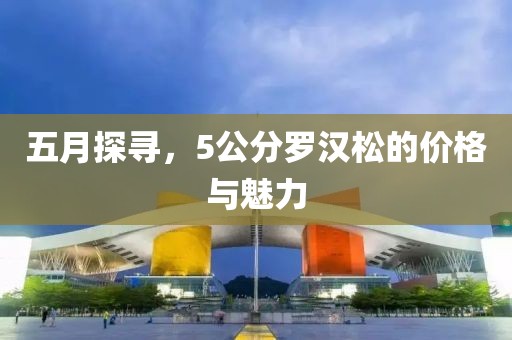 五月探尋,5公分羅漢松的價格與魅力