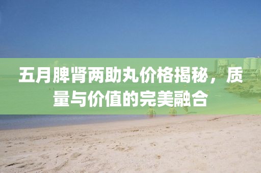 五月脾腎兩助丸價格揭秘,質量與價值的完美融合