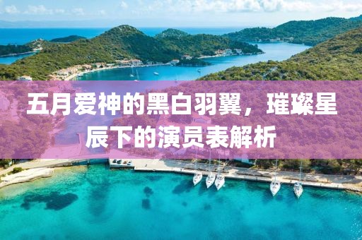五月愛神的黑白羽翼，璀璨星辰下的演員表解析