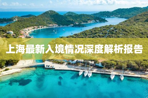 上海最新入境情況深度解析報告