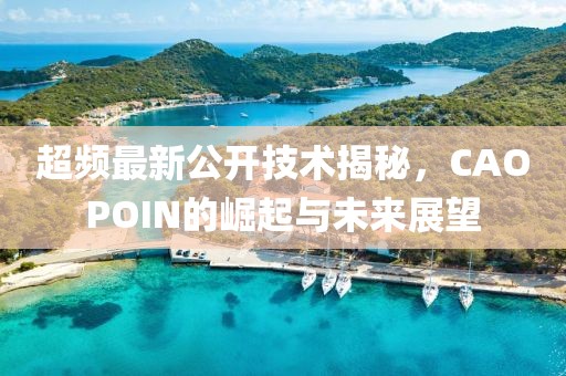 超頻最新公開技術揭秘，CAOPOIN的崛起與未來展望