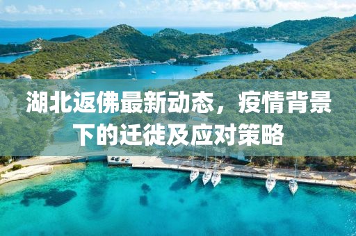 湖北返佛最新動態，疫情背景下的遷徙及應對策略
