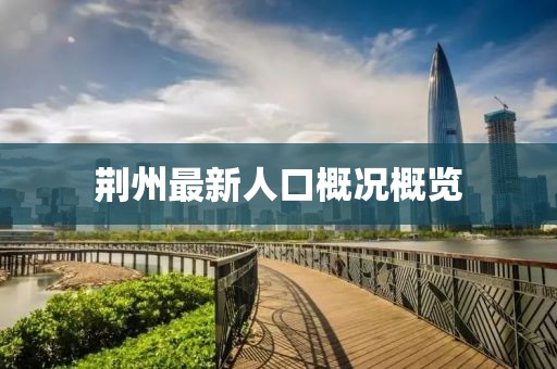 荊州最新人口概況概覽