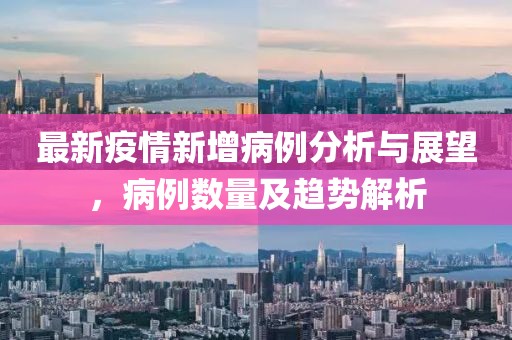 最新疫情新增病例分析與展望，病例數量及趨勢解析