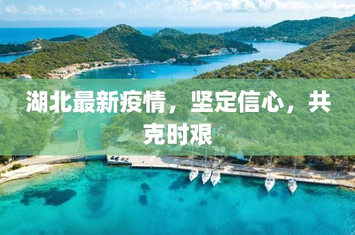 湖北最新疫情,堅定信心,共克時艱