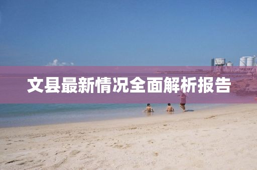 文縣最新情況全面解析報告