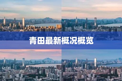 青田最新概況概覽