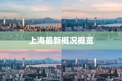 上海最新概況概覽