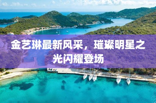 金藝琳最新風采，璀璨明星之光閃耀登場