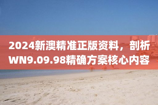 2024新澳精準正版資料，剖析WN9.09.98精確方案核心內容