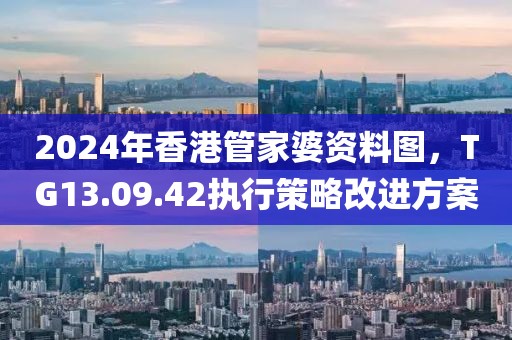 2024年香港管家婆資料圖,TG13.09.42執行策略改進方案