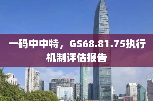 一碼中中特，GS68.81.75執(zhí)行機制評估報告