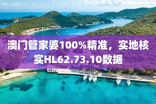 澳門管家婆100%精準(zhǔn)，實地核實HL62.73.10數(shù)據(jù)