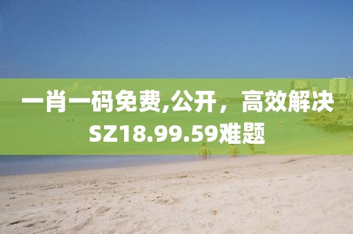一肖一碼免費,公開，高效解決SZ18.99.59難題