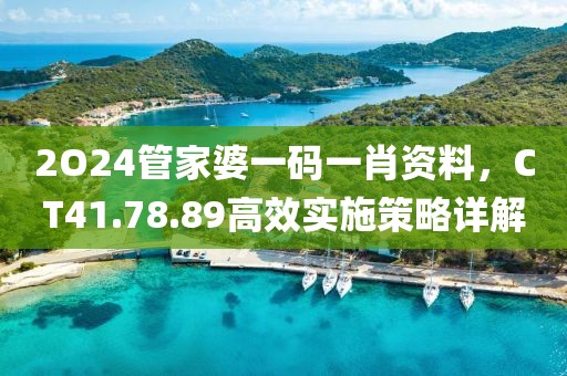 2O24管家婆一碼一肖資料,CT41.78.89高效實施策略詳解