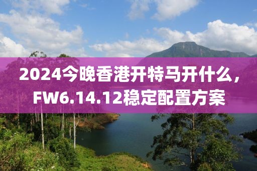 2024今晚香港開特馬開什么，FW6.14.12穩定配置方案