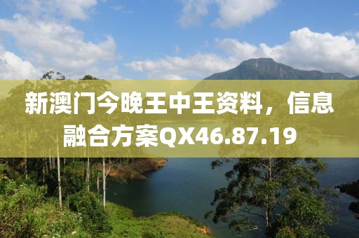 新澳門今晚王中王資料，信息融合方案QX46.87.19
