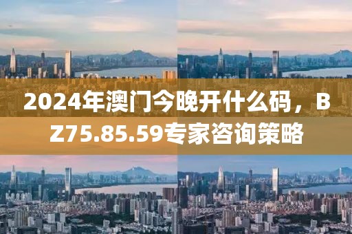 2024年澳門今晚開什么碼,BZ75.85.59專家咨詢策略