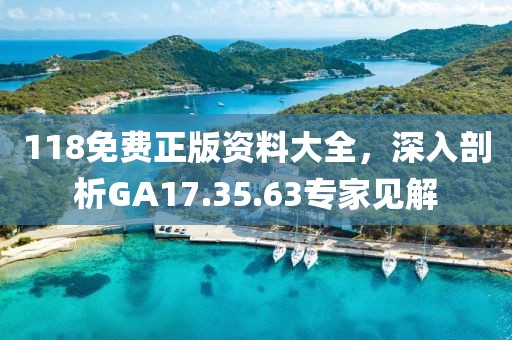 118免費正版資料大全，深入剖析GA17.35.63專家見解