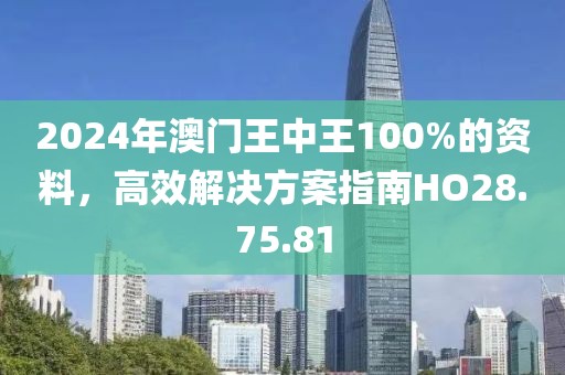 2024年澳門王中王100%的資料，高效解決方案指南HO28.75.81